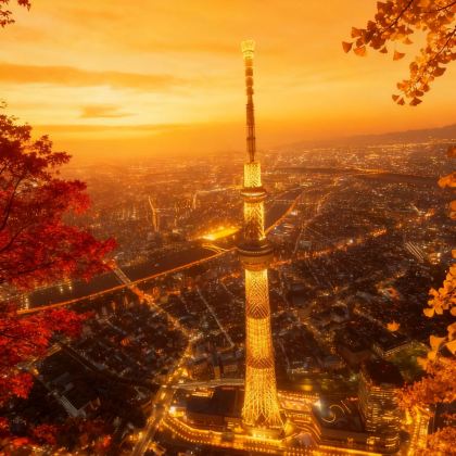 日本东京+箱根5日4晚私家团 日本东京+箱根5日4晚私家团