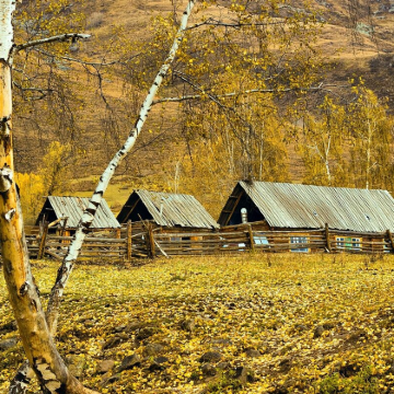 新疆北疆+伊犁+喀纳斯景区+那拉提+禾木风景区+乌鲁木齐9日8晚私家团 新疆北疆+伊犁+喀纳斯景区+那拉提+禾木风景区+乌鲁木齐9日8晚私家团