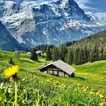 瑞士苏黎世+卢塞恩+沙夫豪森6日5晚私家团 瑞士苏黎世+卢塞恩+沙夫豪森6日5晚私家团