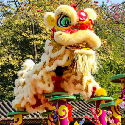 广州+佛山+顺德区4日3晚私家团 广州+佛山+顺德区4日3晚私家团