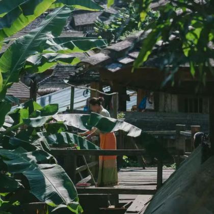 禄丰世界恐龙谷旅游区+西双版纳7日6晚私家团