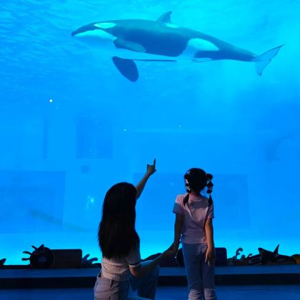 珠海长隆+澳门+香港5日4晚私家团 珠海长隆+澳门+香港5日4晚私家团