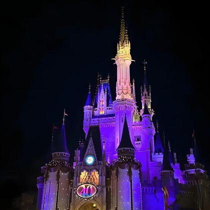 东京+富士山+东京迪士尼乐园6日5晚跟团游 东京+富士山+东京迪士尼乐园6日5晚跟团游