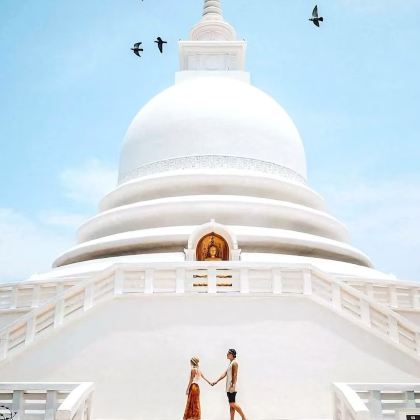 斯里兰卡+马来西亚+科伦坡+吉隆坡+仙本那11日10晚私家团 斯里兰卡+马来西亚+科伦坡+吉隆坡+仙本那11日10晚私家团