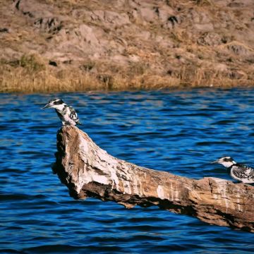 博茨瓦纳+赞比亚10日9晚私家团 博茨瓦纳+赞比亚10日9晚私家团