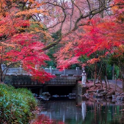 杭州+乌镇+苏州4日3晚私家团 杭州+乌镇+苏州4日3晚私家团