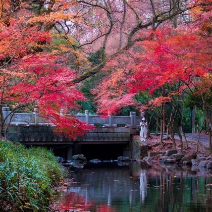 杭州+乌镇+苏州4日3晚私家团 杭州+乌镇+苏州4日3晚私家团