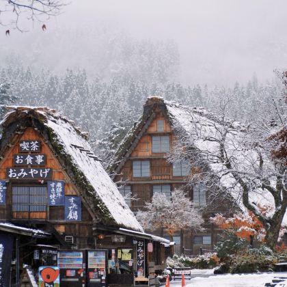 日本名古屋+飞弹高地+金泽+下吕市6日5晚私家团 日本名古屋+飞弹高地+金泽+下吕市6日5晚私家团