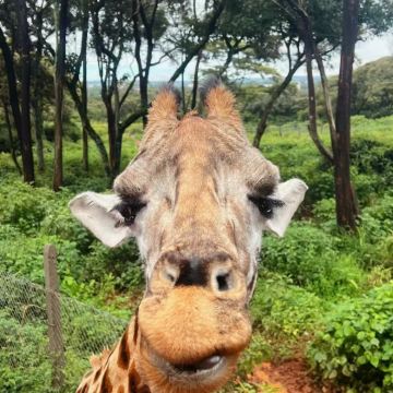 坦桑尼亚13日11晚私家团 坦桑尼亚13日11晚私家团