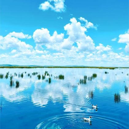 甘肃兰州+若尔盖+甘南6日5晚私家团 甘肃兰州+若尔盖+甘南6日5晚私家团