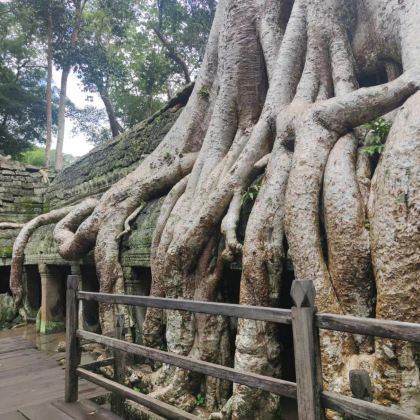 柬埔寨金边+暹粒5日4晚自由行 柬埔寨金边+暹粒5日4晚自由行