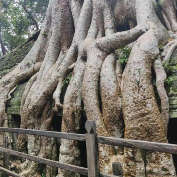 柬埔寨暹粒+吴哥窟5日4晚私家团 柬埔寨暹粒+吴哥窟5日4晚私家团