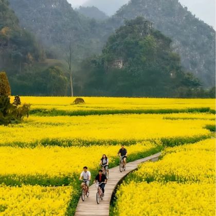 云南昆明+罗平+弥勒+东川红土地5日4晚私家团 云南昆明+罗平+弥勒+东川红土地5日4晚私家团