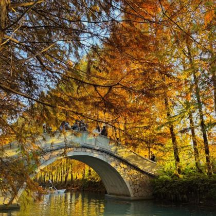 南京+无锡+苏州+乌镇+杭州6日5晚私家团 南京+无锡+苏州+乌镇+杭州6日5晚私家团