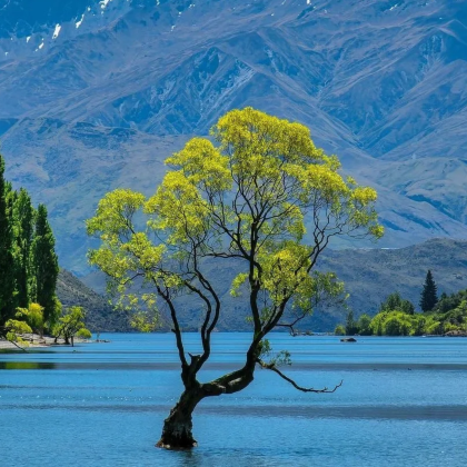 新西兰基督城+皇后镇8日7晚跟团游 新西兰基督城+皇后镇8日7晚跟团游