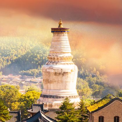 山西五台山3日2晚跟团游 山西五台山3日2晚跟团游