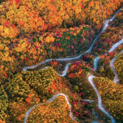 西安+宝鸡+汉中5日4晚私家团 西安+宝鸡+汉中5日4晚私家团