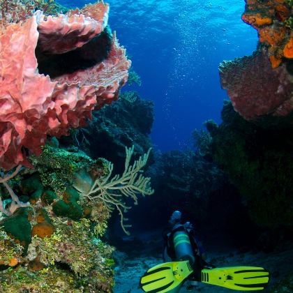 龙目岛+吉利群岛+科莫多5日4晚私家团 龙目岛+吉利群岛+科莫多5日4晚私家团