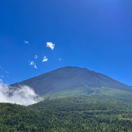 日本东京+富士山+大阪+京都+奈良6日5晚半自助游