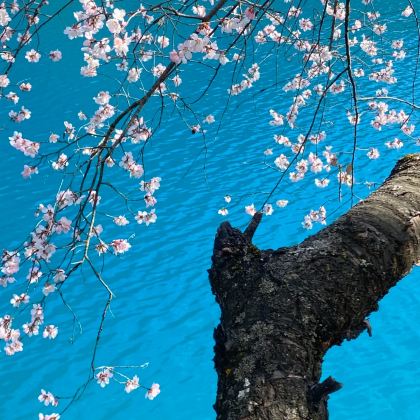 成都+九寨沟+黄龙风景名胜区+三星堆博物馆7日6晚私家团 成都+九寨沟+黄龙风景名胜区+三星堆博物馆7日6晚私家团