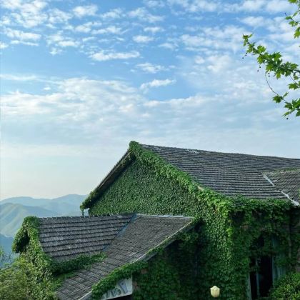 湖州+莫干山+安吉4日3晚私家团 湖州+莫干山+安吉4日3晚私家团