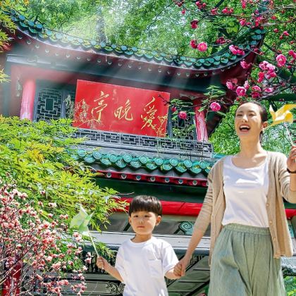 长沙+橘子洲+湖南博物院+岳麓书院3日2晚跟团游 长沙+橘子洲+湖南博物院+岳麓书院3日2晚跟团游