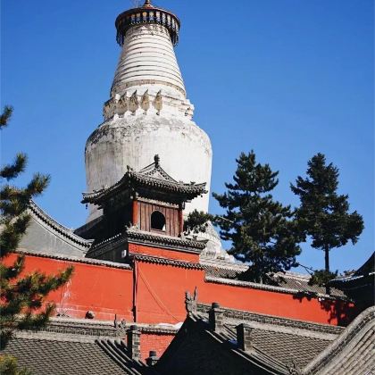 山西太原+雁门关+应县木塔+云冈石窟+悬空寺+五台山+平遥古城+山西王家大院+洪洞大槐树寻根祭祖园7日6晚跟团游 山西太原+雁门关+应县木塔+云冈石窟+悬空寺+五台山+平遥古城+山西王家大院+洪洞大槐树寻根祭祖园7日6晚跟团游