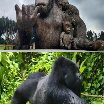 卢旺达6日5晚私家团 卢旺达6日5晚私家团