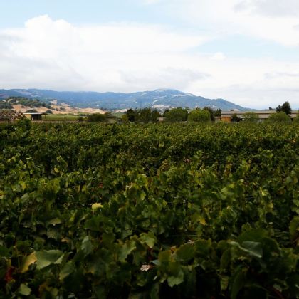 美国西雅图+旧金山10日9晚跟团游 美国西雅图+旧金山10日9晚跟团游