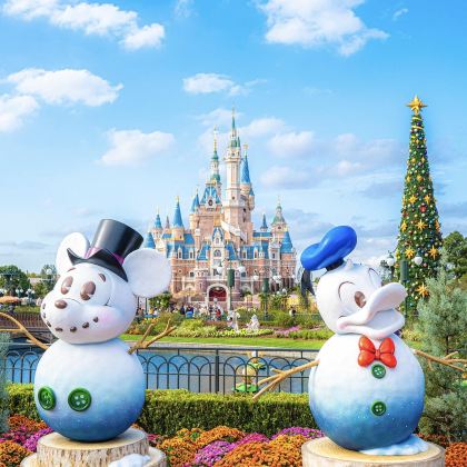 上海迪士尼(Disney)2日1晚私家团 上海迪士尼(Disney)2日1晚私家团
