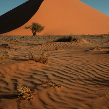 纳米比亚+津巴布韦+博茨瓦纳13日12晚私家团 纳米比亚+津巴布韦+博茨瓦纳13日12晚私家团