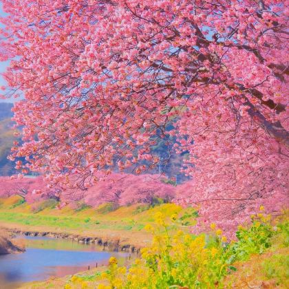 日本北海道5日4晚私家团 日本北海道5日4晚私家团