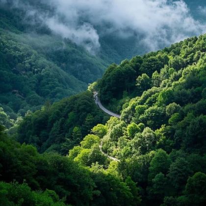 湖州+莫干山风景名胜区3日2晚私家团 湖州+莫干山风景名胜区3日2晚私家团