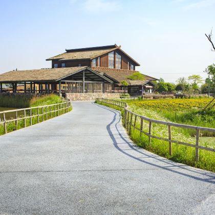 杭州湾国家湿地公园+宁波方特东方神画+杭州湾海皮岛水世界3日2晚跟团游 杭州湾国家湿地公园+宁波方特东方神画+杭州湾海皮岛水世界3日2晚跟团游