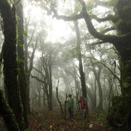 昆明+新平哀牢山+石门峡风景区+金山原始森林3日2晚私家团