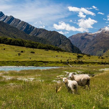 新西兰南岛12日10晚私家团 新西兰南岛12日10晚私家团