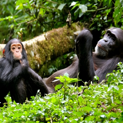 卢旺达8日7晚私家团 卢旺达8日7晚私家团