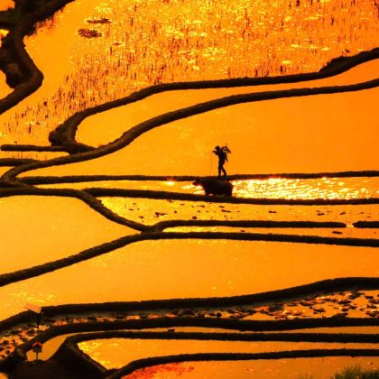 云南昆明+抚仙湖+建水+元阳+蒙自+普者黑景区+坝美世外桃源景区+弥勒+罗平油菜花景区+东川红土地+元谋土林10日9晚自由行 云南昆明+抚仙湖+建水+元阳+蒙自+普者黑景区+坝美世外桃源景区+弥勒+罗平油菜花景区+东川红土地+元谋土林10日9晚自由行