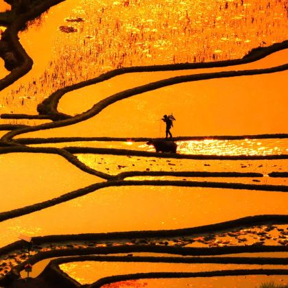 云南昆明+抚仙湖+建水+元阳+蒙自+普者黑风景区+坝美世外桃源景区+泸西+弥勒+东川红土地+元谋10日9晚自由行 云南昆明+抚仙湖+建水+元阳+蒙自+普者黑风景区+坝美世外桃源景区+泸西+弥勒+东川红土地+元谋10日9晚自由行