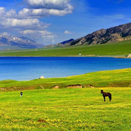 新疆北疆+伊犁+赛里木湖7日6晚私家团