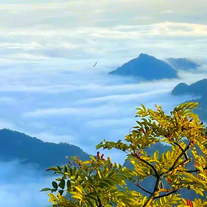 黄山风景区+徽州古城+新安江山水画廊3日2晚跟团游 黄山风景区+徽州古城+新安江山水画廊3日2晚跟团游
