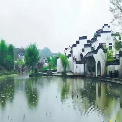 黄山风景区+婺源+千岛湖景区+宏村景区6日5晚私家团 黄山风景区+婺源+千岛湖景区+宏村景区6日5晚私家团