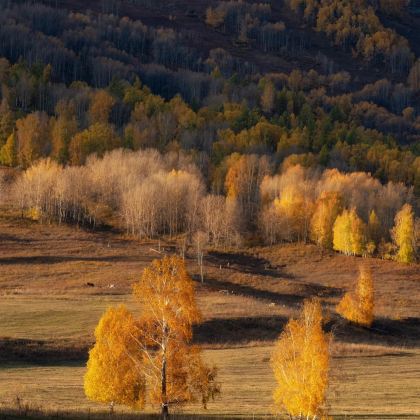 新疆乌鲁木齐+南疆+塔什库尔干+喀什市+库车8日7晚自由行 新疆乌鲁木齐+南疆+塔什库尔干+喀什市+库车8日7晚自由行