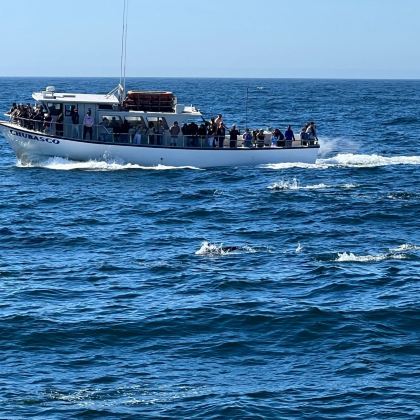 澳大利亚悉尼+墨尔本8日7晚私家团 澳大利亚悉尼+墨尔本8日7晚私家团