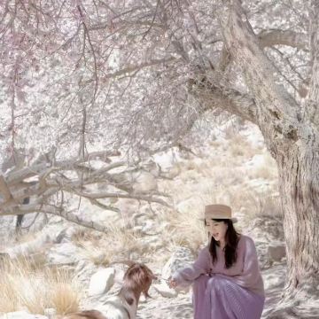 南疆10日9晚拼小团 南疆10日9晚拼小团