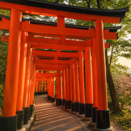 日本+东京+京都+大阪7日6晚私家团 日本+东京+京都+大阪7日6晚私家团
