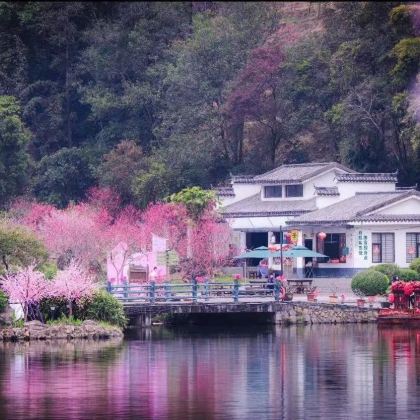 永春+魁星岩风景区+十里桃源云卿之园+五里街古街+北溪文苑风景区+岵山古镇+永春香都广场3日拼小团 永春+魁星岩风景区+十里桃源云卿之园+五里街古街+北溪文苑风景区+岵山古镇+永春香都广场3日拼小团