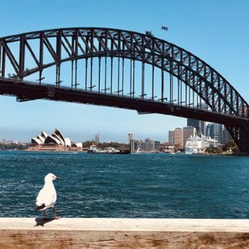 悉尼+堪培拉+蓝山国家公园+卧龙岗市+猎人谷5日4晚跟团游 悉尼+堪培拉+蓝山国家公园+卧龙岗市+猎人谷5日4晚跟团游