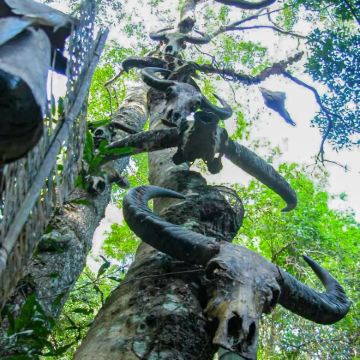 景迈山+翁丁原始部落+翁基布朗族老寨+哀牢山虫谷+景洪7日6晚跟团游 景迈山+翁丁原始部落+翁基布朗族老寨+哀牢山虫谷+景洪7日6晚跟团游