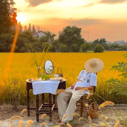 广西崇左+德天瀑布+明仕田园+古龙山大峡谷+鹅泉+峒那屿湾景区5日4晚私家团 广西崇左+德天瀑布+明仕田园+古龙山大峡谷+鹅泉+峒那屿湾景区5日4晚私家团